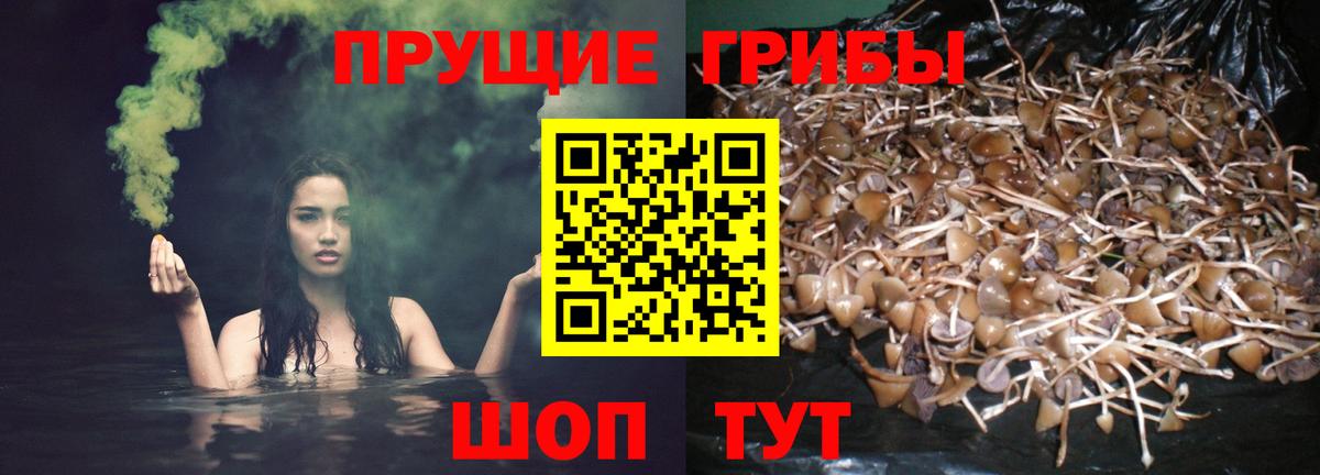 Галлюциногенные грибы Cubensis  Вход с VPN  Мирный 